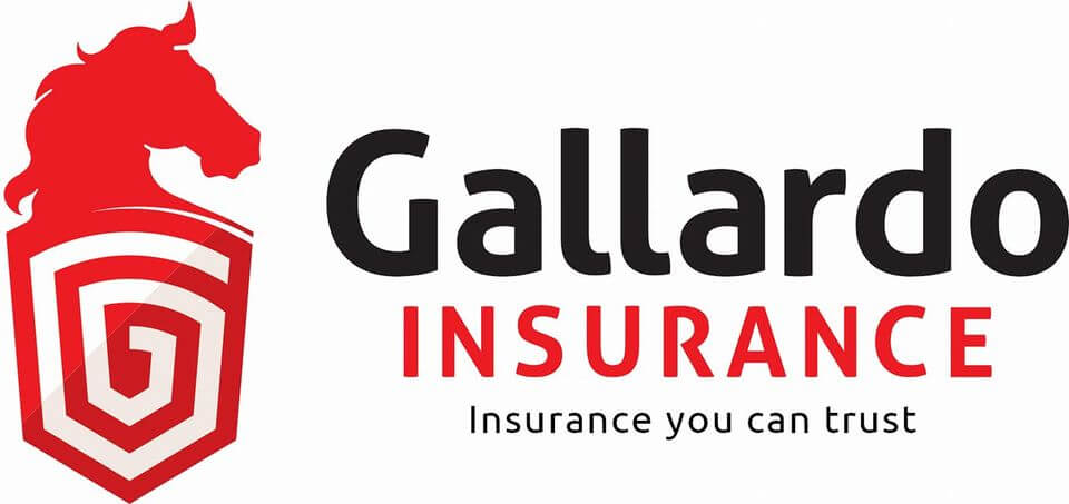 Gallardo Insurance Agency Logo in Texas